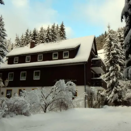 Parkschlößchen Elvira Jagemann Hotel 3*
